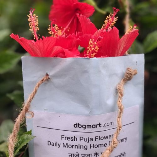 Flower Bags of Darbhanga Mart